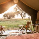 5 days camping Safari