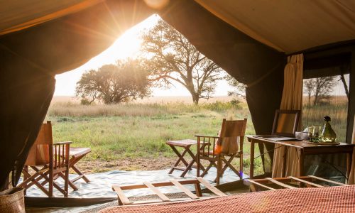 Serengeti-Safari-Camp015